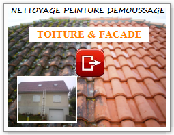 demoussage toiture 35